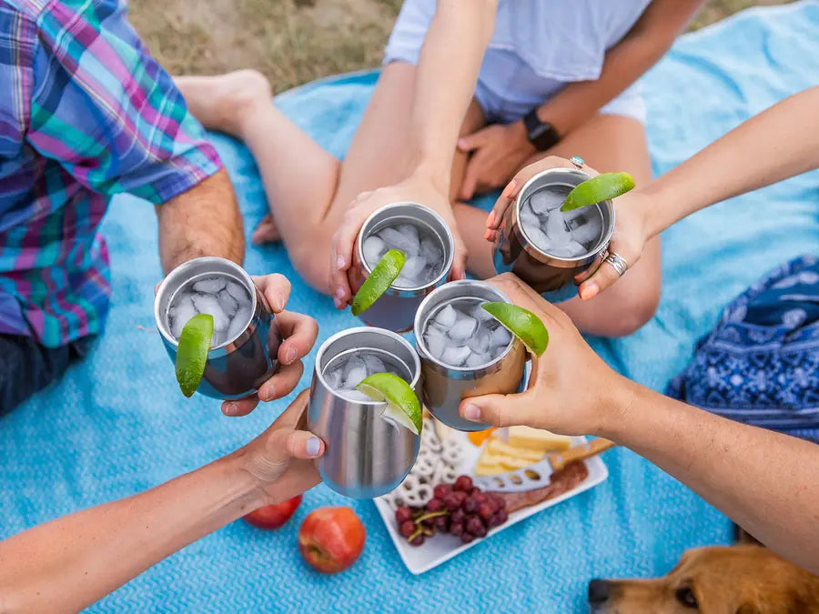 Friends clinking EcoVessel Port tumblers with lime drinks over a picnic blanket